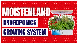 Moistenland Hydroponics Growing System Indoor Herb Garden Starter Kit [upl. by Mehs]