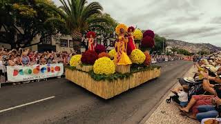 Festa Da Flor 2024 [upl. by Ahsikar]