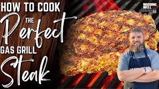 How to Cook the PERFECT Gas Grill Steak [upl. by Rennold]