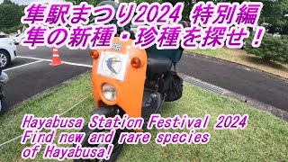 隼駅まつり2024 隼の新種・珍種を探せ！ Hayabusa Station Festival 2024 Find for new and rare species of Hayabusa [upl. by Rego]