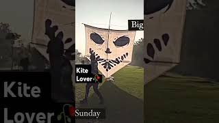 12 feet big kite 🥀 Sunday flying  shorts shortvideo trending [upl. by Adriena]