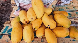 Mango Street Islamabad Fruits Market  Wholesale Mango Market  Pakistan Top Class Mango [upl. by Yauq]