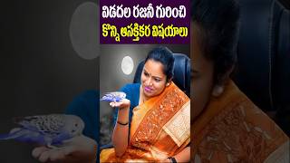 Untold Facts of Vidadala Rajini  AP Politician YCP  YS jagan CBN  Politics  Tollywood Nagaram [upl. by Dine374]