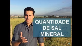 QUAL A QUANTIDADE IDEAL DE SAL MINERAL PARA OS BOVINOS [upl. by Blank898]