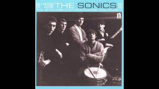 The Sonics  Strychnine 1964 [upl. by Nnaira]