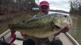 How to Find Fish  Bass Fishing [upl. by Kelcey]