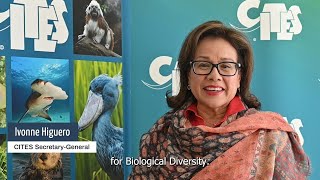 Message for International Day for Biodiversity 2024 from CITES SecretaryGeneral Ivonne Higuero [upl. by Shuma]