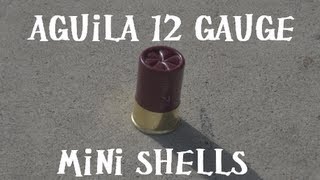 Aguila 12 Gauge Mini Shells Benelli M4 Cycle Test [upl. by Rehpotsirhk]