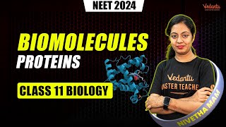 Biomolecules  Proteins  Class 11 Biology  NEET 2024  Nivetha Maam [upl. by Kramnhoj692]