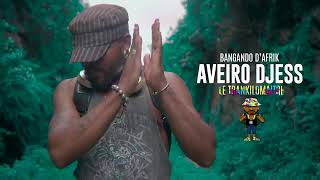 AVEIRO DJESS  LE NYAMA CLIP OFFICIEL [upl. by Eicnarf859]