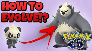 HOW TO EVOLVE A PANCHAM INTO PANGORO IN POKEMON GO ✨ Shorts [upl. by Marra]