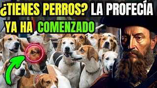 CHOCANTE Lo Que Nostradamus Predijo Para Quienes Tienen PERRO EN CASA  Profecías Reveladas [upl. by Michaeline]