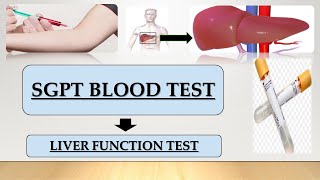 What is SGPT Blood Test   Liver Function Test  8 Minute Simple Explanation [upl. by Vanna]