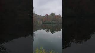 Laurel lake fall colors Breaks Interstate Park Breaks VA [upl. by Ennayar]