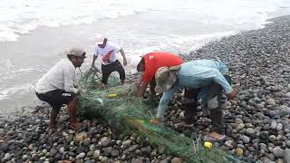 Impresionante PESCADORES Sacan su Red usando toda su Fuerza y mira lo que Pasó al final [upl. by Halsted]