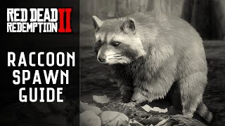 Red Dead Redemption 2  North American Raccoon Locations  Provisions Satchel RDR2 [upl. by Latsyrd]