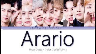 TOPP DOGG – Arario 아라리오 Color Coded Lyrics [upl. by Ahsocin]