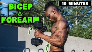 10 MINUTE LIGHTWEIGHT DUMBBELL BICEP amp FOREARM WORKOUT [upl. by Neirbo396]