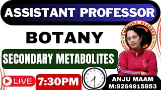 PLANT SECONDARY METABOLITES  BY ANJU MAM [upl. by Carlynne]