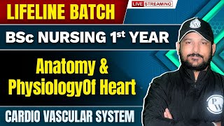 Anatomy amp Physiology Of Heart  Cardio Vascular System  BSc Nursing 1st Year  Lifeline Batch [upl. by Morocco]