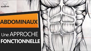 Abdominaux  Anatomie et Entraînement une approche fonctionnelle [upl. by Ogires]