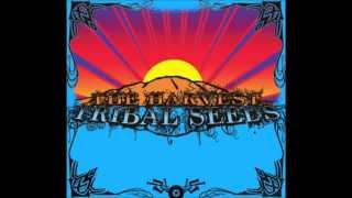 Tribal Seeds  All I Know [upl. by Dugaid578]