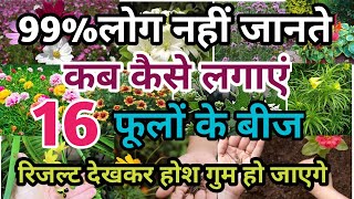 99 लोग नहीं जानते कब कैसे लगाए 16 फूलों के बीज winter flowers plants grow by seeds sep to oct [upl. by Akihc402]