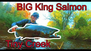 SALMON FISHING The Manistee River PART 1 [upl. by Wurster]