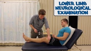 Lower Limb Neurological Examination  OSCE Guide old version  UKMLA  CPSA [upl. by Acissj]