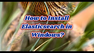 StepbyStep Guide Installing and Downloading Elasticsearch on Windows [upl. by Winfrid]