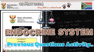 Endocrine System  Past Examination Questions Activity  Full Class  Response 09052024  grade12 [upl. by Ahsinaj]