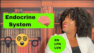 The Endocrine System [upl. by Pate42]