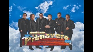 Conjunto Primavera  Puros Exitos de Oro I Norteñasmusicamexicana musicabanda músicanorteña [upl. by Greabe938]