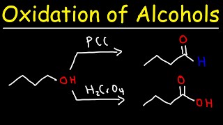 Oxidation of Alcohols [upl. by Nirred]