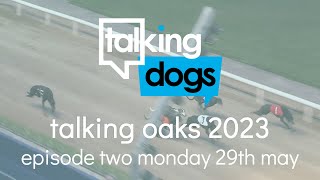 Talking Oaks 2023 Episode 2 Monday 29th May [upl. by Yuji]