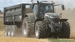 Massey Ferguson 8740S Black Beauty amp Massey Ferguson Ideal 9T Combining  DK Agriculture [upl. by Bridget77]