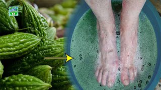 Soak Your Feet In Karela Juice For 10 Days And Say Goodbye To Diabetes [upl. by Blythe]