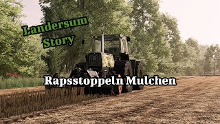 Rapsstoppeln Mulchen LS22 Landersum Story 81 [upl. by Reece829]