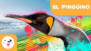 Pinguinos para Niños Datos Interesantes  Diferentes Tipos de Pingüinos para Niños [upl. by Akcimahs]