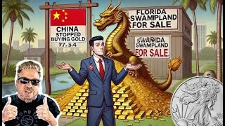 ALERT HSBC is the MASSIVE SILVER SHORT China Has More Gold Than the USA Bix Weir [upl. by Oine]