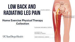 Low Back amp Radiating Leg Pain Home Exercises  UC San Diego Health [upl. by Nugesulo]