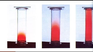 Grahams Law [upl. by Nekal]