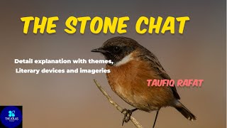 The Stone Chat by Taufiq Rafat  Taufiq Rafat  Stone chat  Detail Explanation  The Atlas of Ideas [upl. by Nan129]