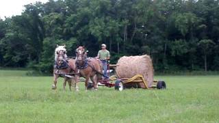 HorseDrawn Round Bale Mover [upl. by Rehptsirhc220]