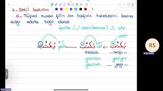 Muzari Fiilin Mansub ve Meczum Hali 33Ders education nasb meczum ilahiyat keşfet [upl. by Einolem]