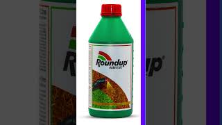 Roundup fertilizer gardening soilhealthmatters gardeningadvice [upl. by Dnomrej]