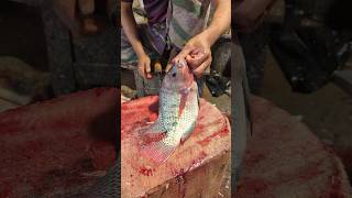 Astonishing Perfect Size Tilapia Fish Cutting Skills In Bangladesh 🫢😱 shorts [upl. by Wordoow]