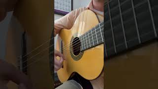 Picado Paso Doble guitar guitarstyle flamencoguitarist fingerstyleguitar acousticguitar [upl. by Norvall]