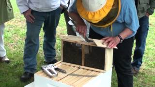 Installing Package Honey Bees the Easy Way [upl. by Nosrej]