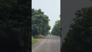 BILASPUR TO BALODA BAZAR ROAD PART 14 music song melody forestroad trees greenroad [upl. by Joannes]